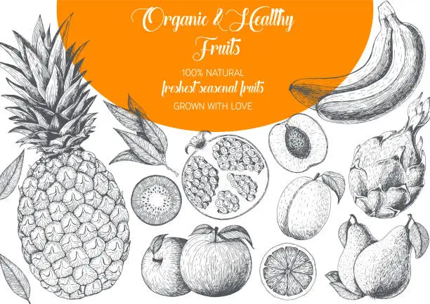 Vector illustration of Fruits top view frame with pitaya, pomegranate, banana, pineapple, apple, kiwi, peach. Farmers market menu design. Healthy food poster. Vintage hand drawn sketch, vector illustration. Linear graphic.