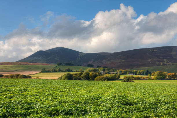 Clyde Valley Farm land of the Clyde valley, Lanarkshire, Scotland Lanarkshire stock pictures, royalty-free photos & images