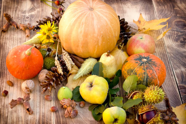 istock Autumn harvest, seasonal fruit and vegetable 857117134