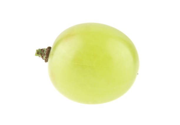 close-up macro shot of green grapes