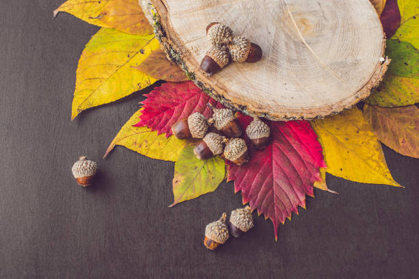 istock Autumn leaves over wooden background with copy space 857117720
