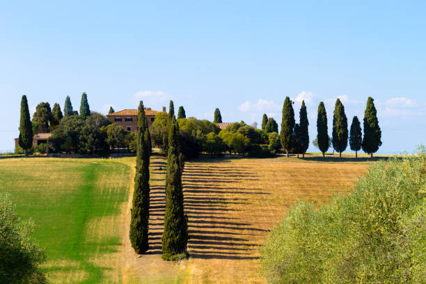istock Tuscany hills landscape, Italy 857121566