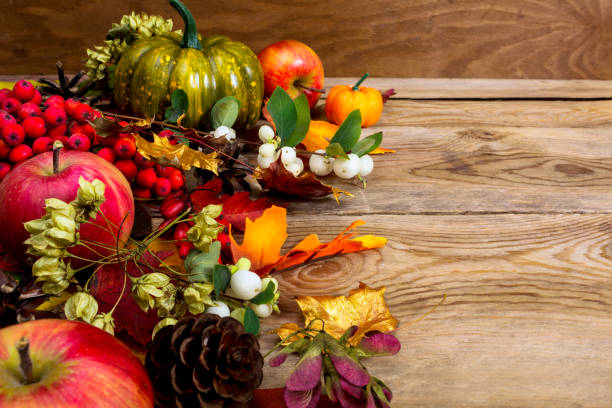 istock Fall background with apples, white berries and seeds, copy space 857122542