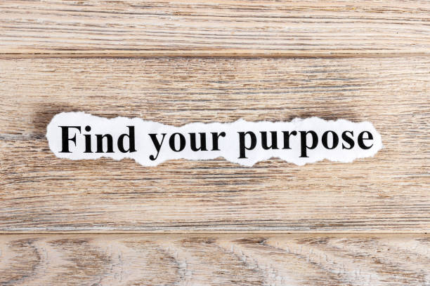 istock find your purpose text on paper. Word find your purpose on torn paper. Concept Image 857125922