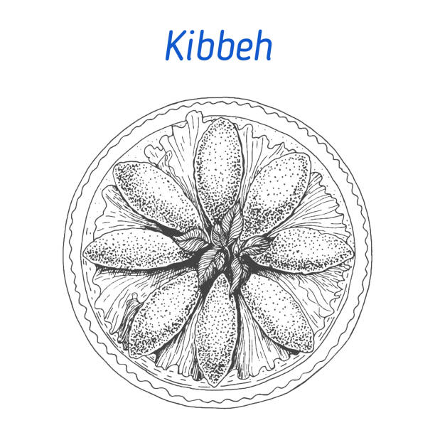 иллюстрация вектора киббеха. нарисованное вручную изображение. еврейская еда - backgrounds beef close up cooked stock illustrations