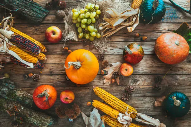 Thanksgiving day.  Autumn fruit over wood.Thanksgiving autumn background