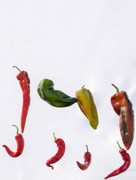 istock Red pepper plant found at the market 857156096
