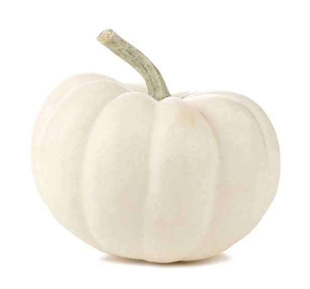 biała mini dynia wyizolowana na białym - miniature pumpkin zdjęcia i obrazy z banku zdjęć