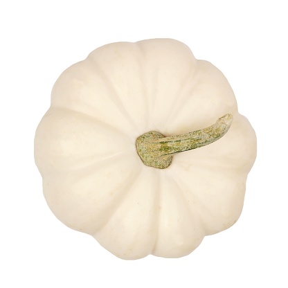 Top view of a single white mini pumpkin isolated on a white background