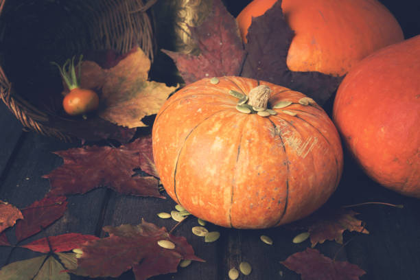 istock Toned autumn concept with pumpkins and fall leaves 857174178