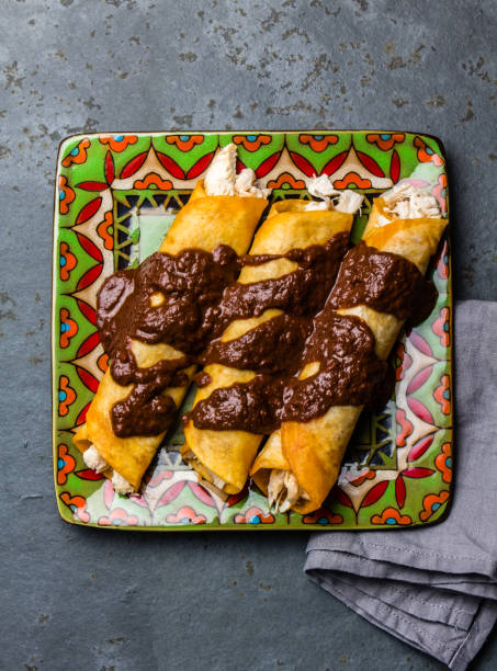 istock Mexican cuisine. Traditional Mexican chicken enchiladas with spicy chocolate salsa mole poblano. Enchiladas with sauce moole from Puebla, Mexico 857179212