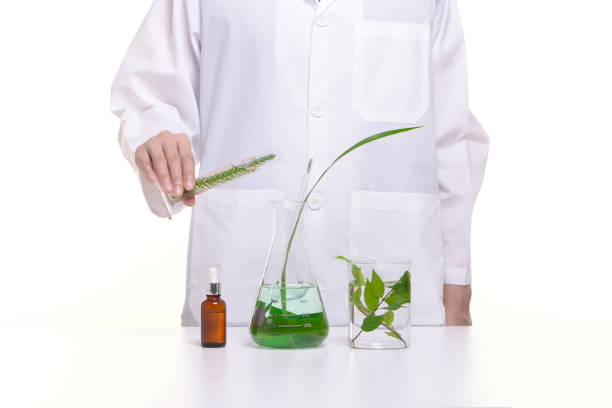 istock Scientist study and research liquid medicine from natural herbal. 857181378