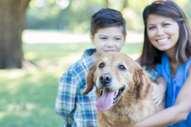 istock Happy boy and his mom play with their dog 857187240