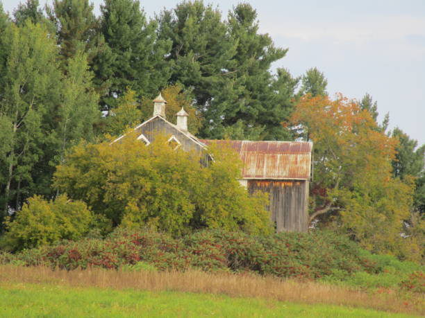 istock Barn in the Bushes 857191066