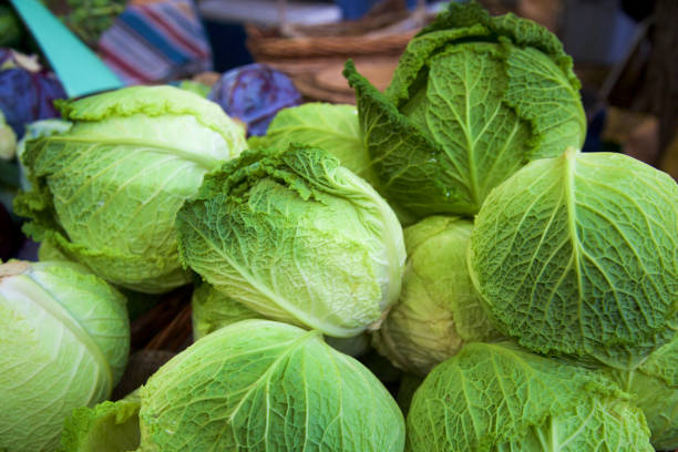 cavolo verde sabaudo al mercato contadino - green cabbage foto e immagini stock