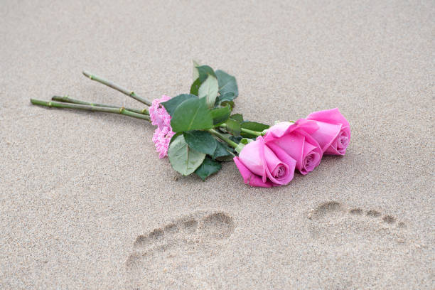 istock pink rosees and footprints in sand 857209760