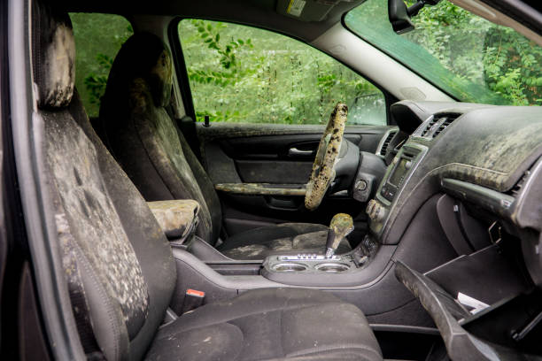 Mold growing inside a flooded car stock photo