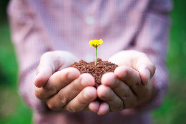 istock seedlings for a world to live 857223262