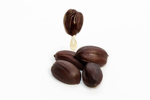 istock Jojoba oil 857223296