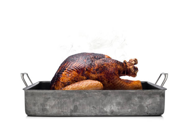 Burned Thanksgiving Turkey White Background A Thanksgiving turkey that was burned with smoldering black smoke on a white background with copy space. burnt stock pictures, royalty-free photos & images