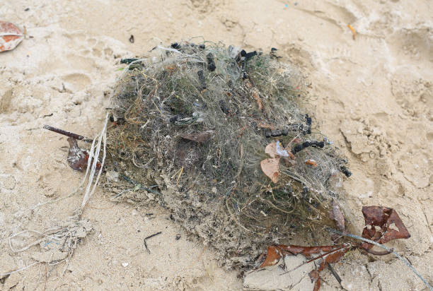istock Old fisherman net on beach. 857229856