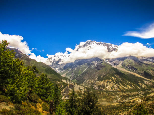 istock Trekking in Nepal Annapurna circuit 857230288