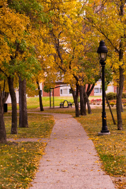 istock The Park in Autumn 857233728
