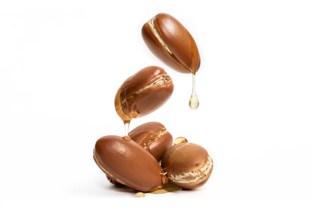 argan aceite - fotos de semilla de argan fotografías e imágenes de stock