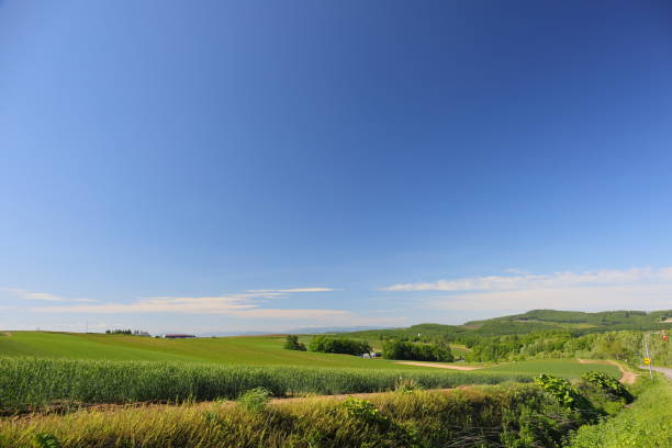 istock Landscape of Hokkaido 857244190