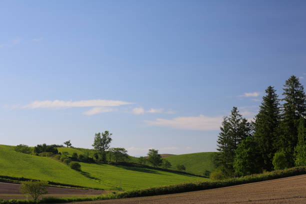 istock Landscape of Hokkaido 857244262