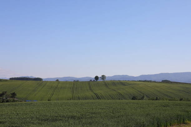 istock Landscape of Hokkaido 857244326