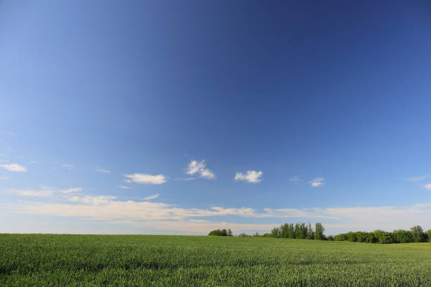 istock Landscape of Hokkaido 857244360
