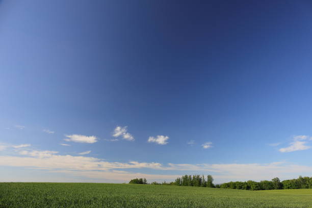 istock Landscape of Hokkaido 857244378