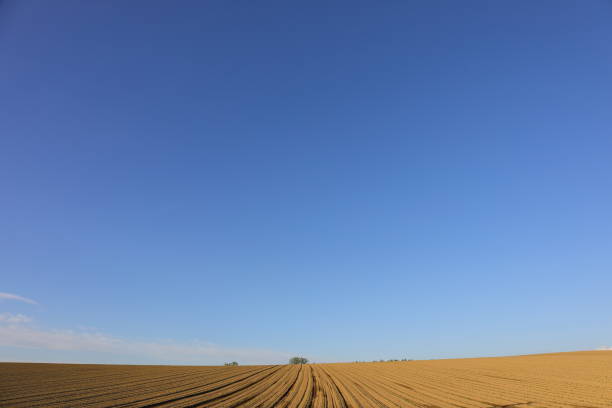 istock Landscape of Hokkaido 857244486