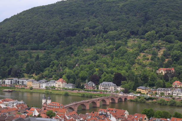 istock cityscape of Heidelberg 857245158