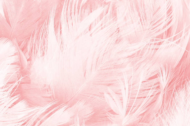 istock Coral Pink vintage color trends feather texture background 857248468