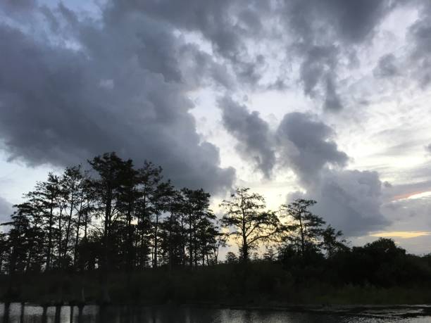 istock sunset in the Everglades marshes 857249220