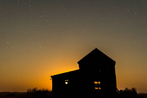 istock Field of Canola on the Prairies 857256244