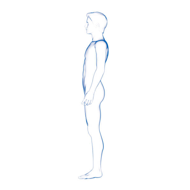 istock Human Male Body, Side View 857260152