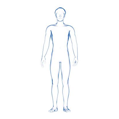 3D rendering of man (male) body, front view. Human body illustration.