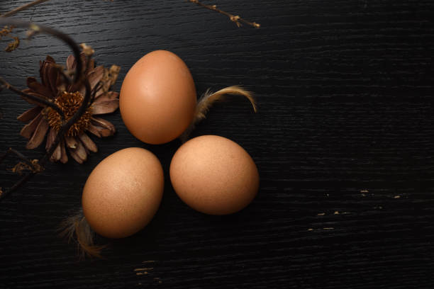 Farm-Fresh Brown Eggs in a Paper Carton