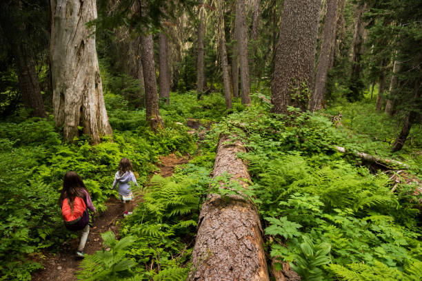 istock Kids connectting with nature 857263326