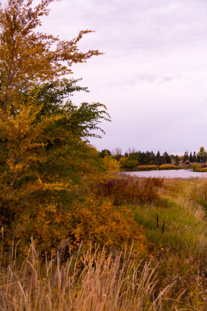 istock The Park in Autumn 857263832