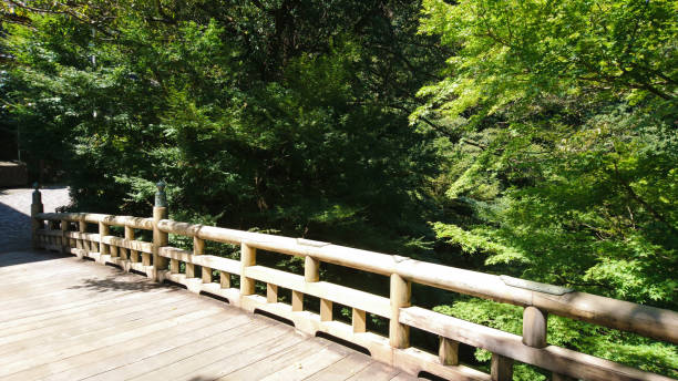 istock Kakusenkei Gorge 857264040