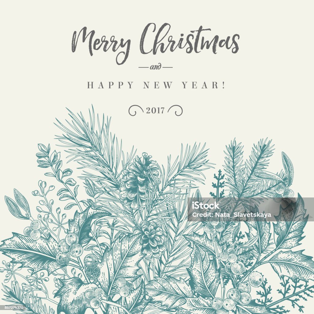 Border with Christmas plants. Winter background. Vector border with spruce branches, berries, holly, mistletoe. Greeting Christmas card in vintage style. Christmas stock vector