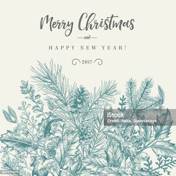 Border With Christmas Plants Stock Illustration - Download Image Now - Christmas, Holly, Mistletoe