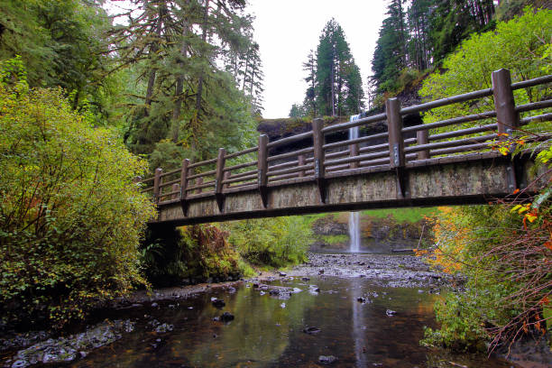 4 Seasons - Oregon's Silver Falls stock photo