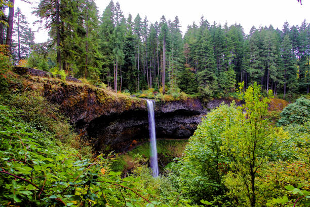 4 Seasons - Oregon's Silver Falls stock photo