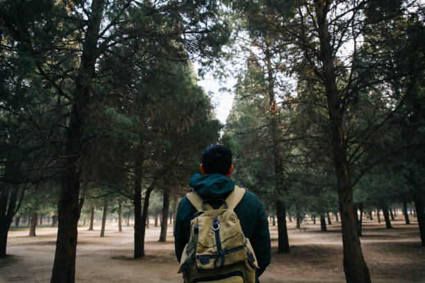 istock Young traveler trekking into the woods with backpack along the path 857278300