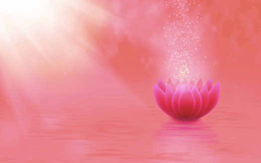 image of a stylized lotus flower in the water